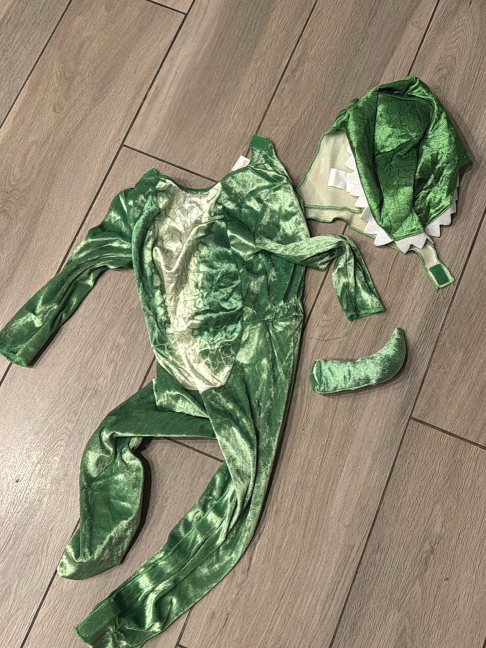 Disney Shiny Green Dragon Costume with Hood and Tail